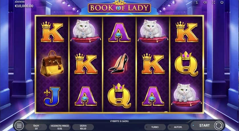 Igrajte brezplačno Book of Lady