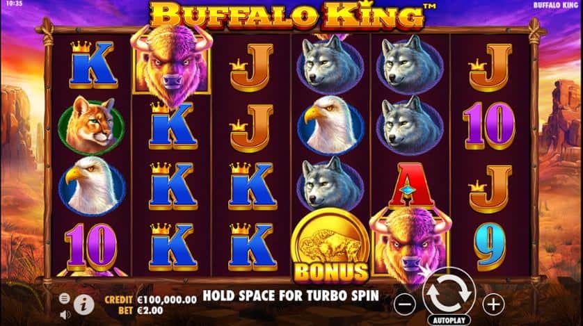 Igrajte brezplačno Buffalo King