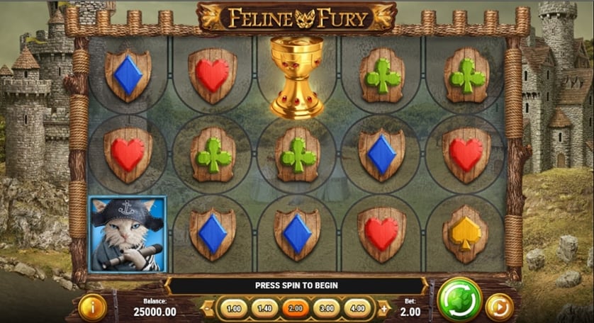 Igrajte brezplačno Feline Fury