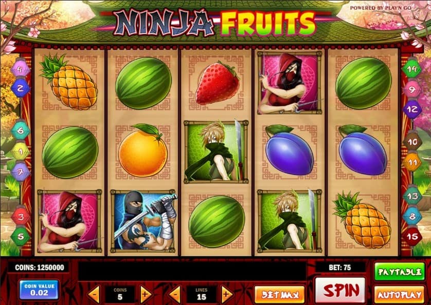 Igrajte brezplačno Ninja Fruits
