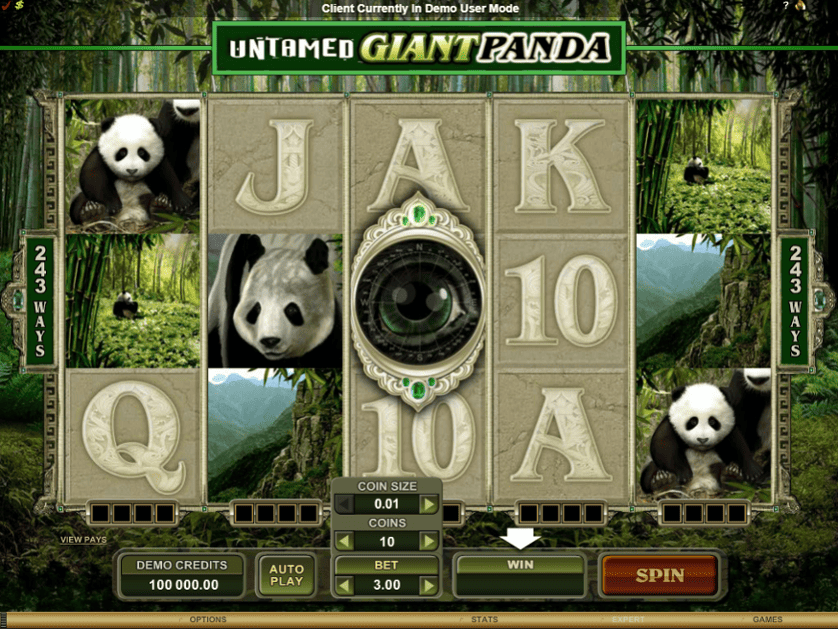 Igrajte brezplačno Untamed Giant Panda