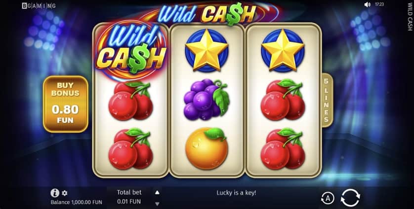 Igrajte brezplačno Wild Cash