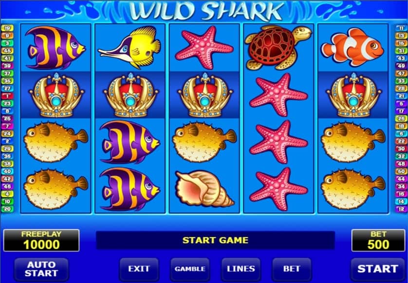 Igrajte brezplačno Wild Shark