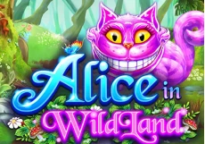 Alice in WildLand