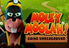 Moley Moolah! Going Underground