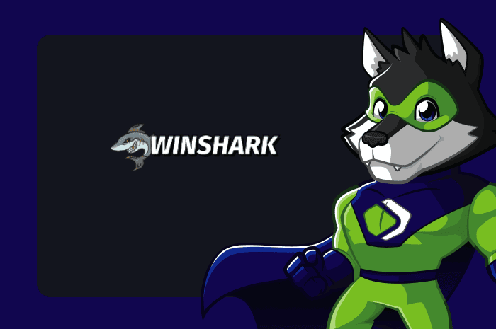 Winshark main